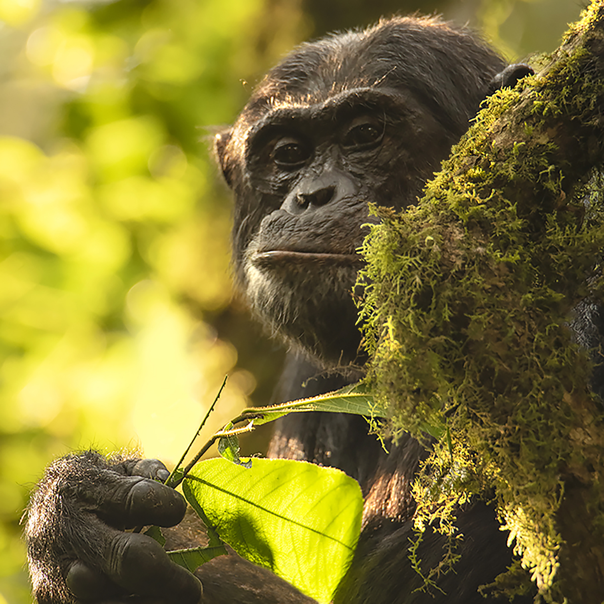 2025. SEPTIEMBRE. TEMA: 